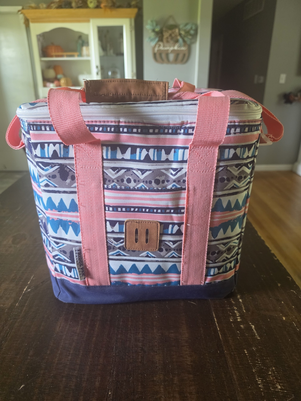 Fridge Pak Lunch Tote Bag with Pink Straps